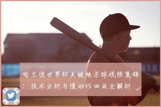 哈兰德世界杯关键绝杀球视频集锦：技术分析与慢动作回放全解析